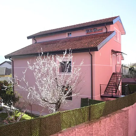 Kazazi Shkoder